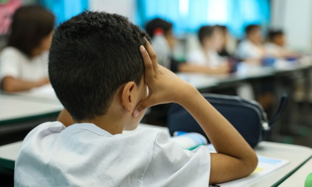 Censo Escolar 2026: coleta de dados da 1ª etapa termina nesta sexta